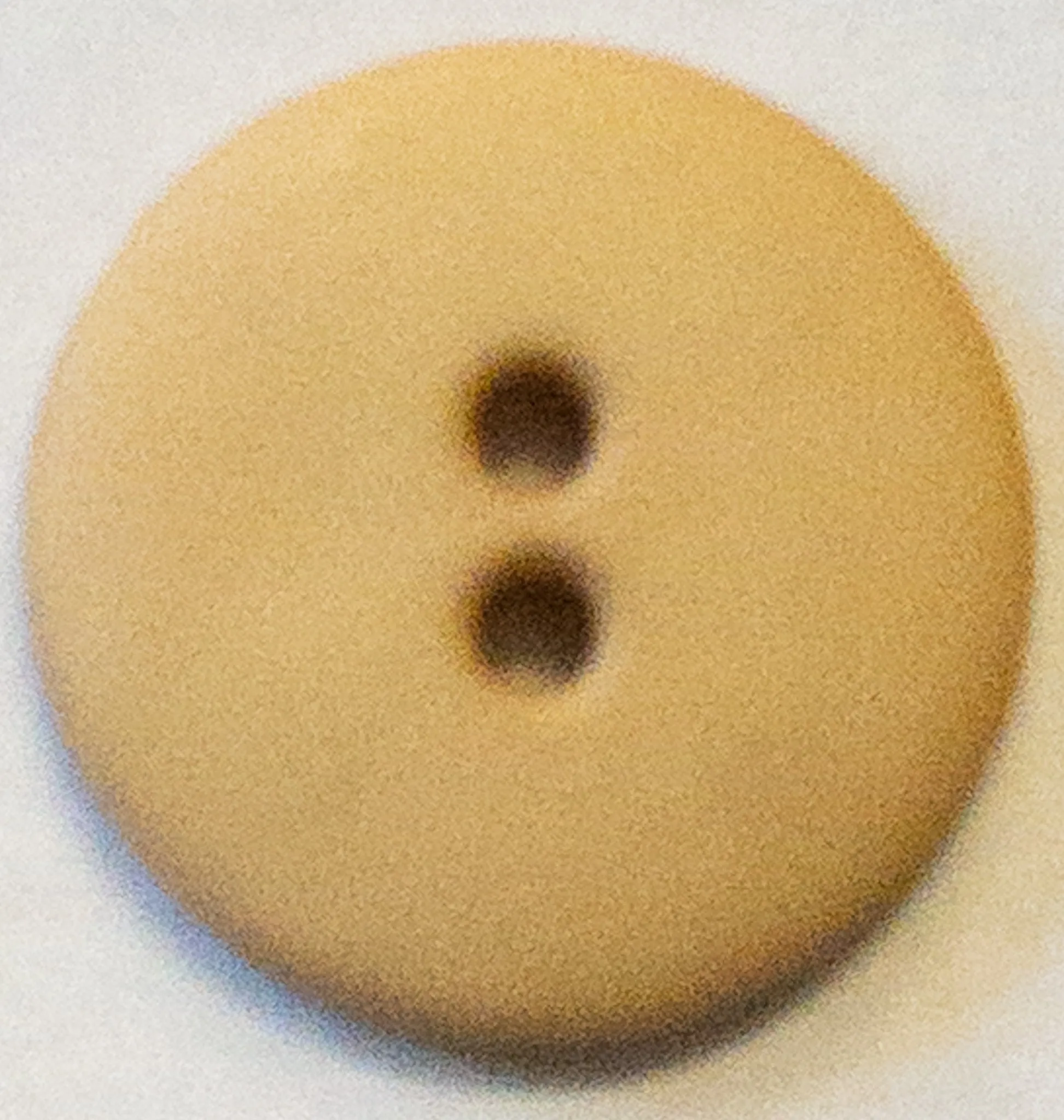 Fashion Button Simple Colorful 2-Hole